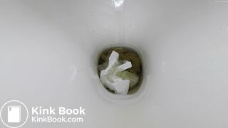 LEGO man vs Swedish blonde part 3