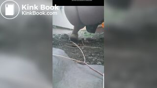 My Friend Poops For Me