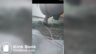 My Friend Poops For Me