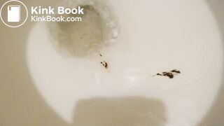 Hot toilet and bath pooping