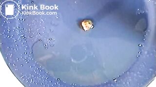 Little scat - video 5