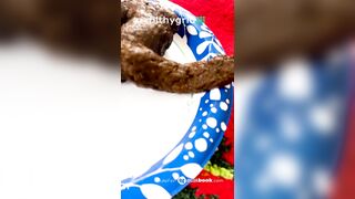 Pulsifer Paprocki ass shredder