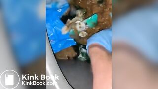 Slave cunt tasting stranger's scat