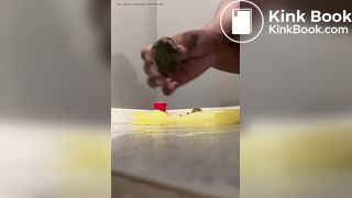 Shy ebony creamy shit in hand