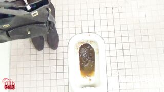 Japanese Ladies Poop Voyeur - video 43