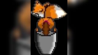 Pooping Fox