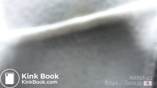 Cat sniffing girl. Shit also comes out, ... edition