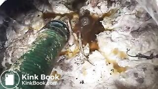 woman toilet poo pee vacuum１