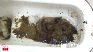 Japanese Ladies Poop Voyeur - video 44