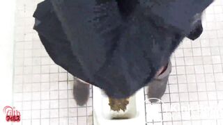 Japanese Ladies Poop Voyeur - video 44