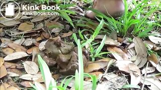 Videos 484