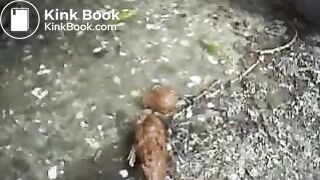 White girl poops outside near a farm