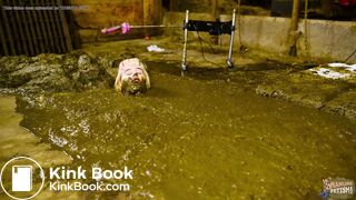 Gossip Girl Lyndra - Cowshit fuck