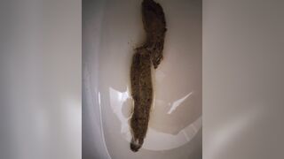 Pooping - video 483