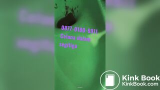 Live Pup Riview
