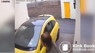 Woman poo - video 4