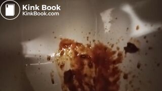 Toilet Destroyed :-D