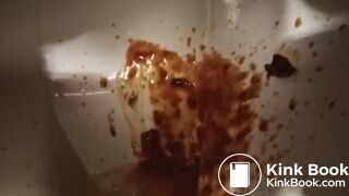 Toilet Destroyed :-D