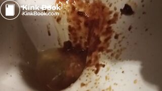 Toilet Destroyed :-D