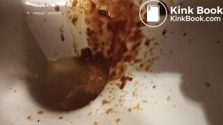 Toilet Destroyed :-D