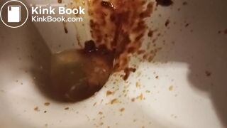 Toilet Destroyed :-D