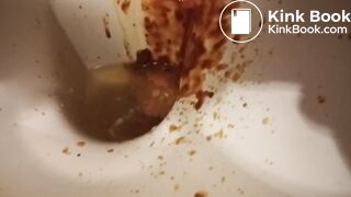 Toilet Destroyed :-D