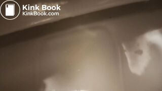 Toilet Destroyed :-D