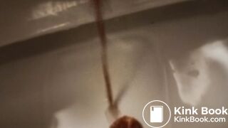 Toilet Destroyed :-D