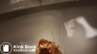 Toilet Destroyed :-D