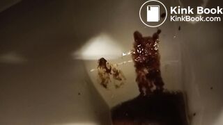 good day, porcelain :-D