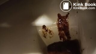 good day, porcelain :-D