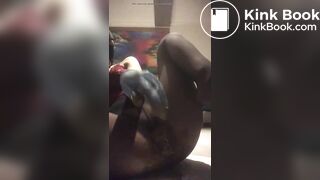 amateur romanian pooping cam girl 3