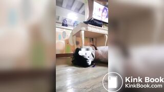 korean scat feeding and shitjob