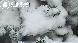 PAWGs thick turd and snow poop