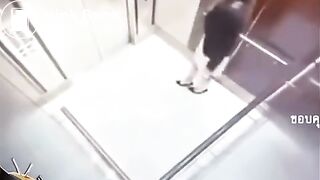 Cctv girl shit her pants - video 2