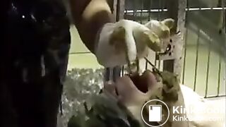 chinese mistress scat - video 6