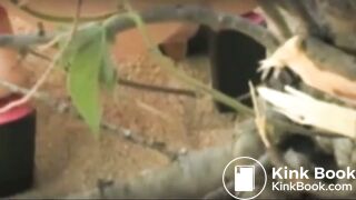 3 girls drop logs on beach