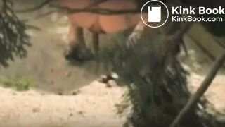 3 girls drop logs on beach