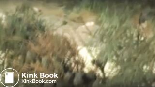 3 girls drop logs on beach
