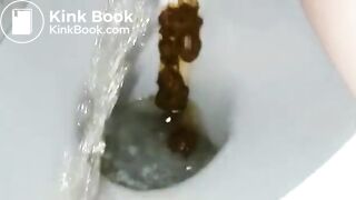 Another ex frontview toilet poop 10