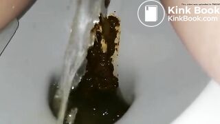 Another ex frontview toilet poop 10