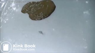 Shit and Piss on her car lol