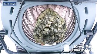 pantyhose shitting - video 2