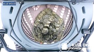 pantyhose shitting - video 2