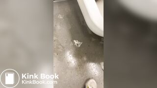 Public Toilet Submission 2