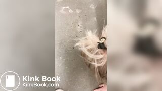 Public Toilet Submission 2