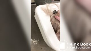 Public Toilet Submission 2