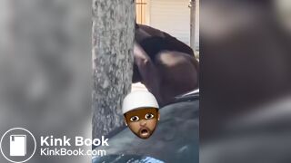 Woman uses her projectile shit as a weapon