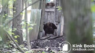 Girl Shits outside