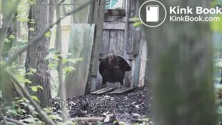 Girl Shits outside